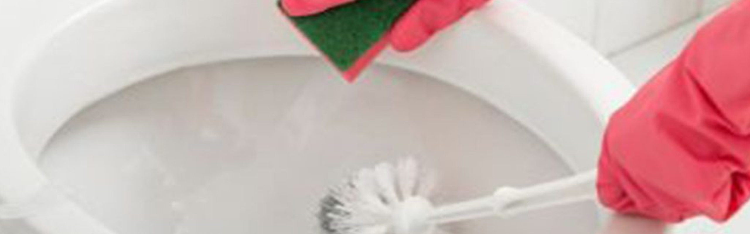 Come pulire lo scopino del bagno: consigli e trucchi