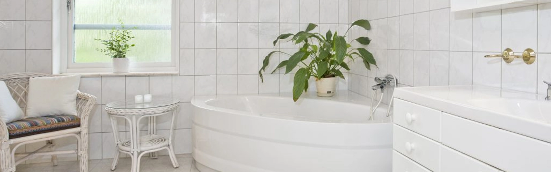 Piante da bagno: ecco le più adatte