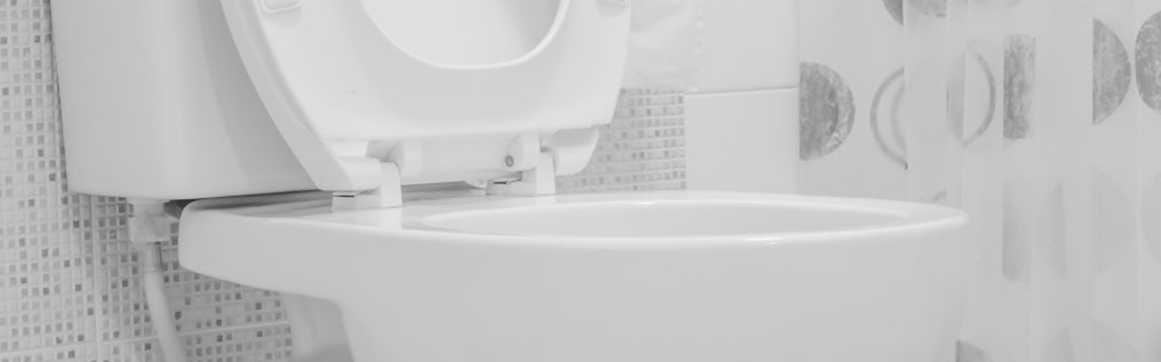 Come togliere il calcare dal WC