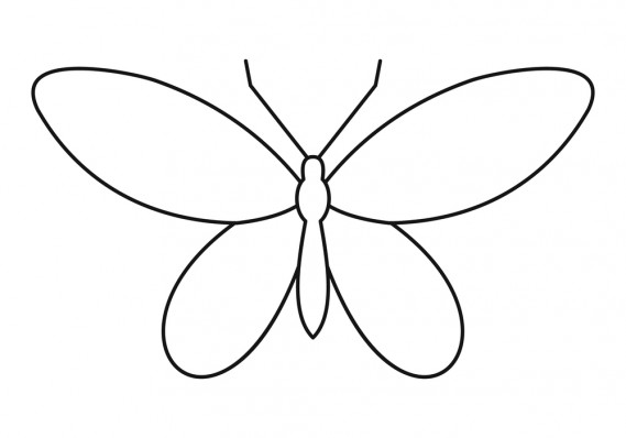 Disegnare Una Farfalla Con I Bambini Donnad