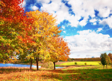 immagini autunnali bellissime, immagini autunno bellissime, immagini autunnali, immagini autunno