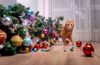 Albero di Natale 2021 gatto