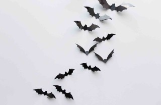 Pipistrelli di Halloween
