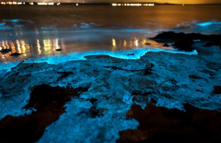  spiagge bioluminescenti