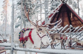 casa di Babbo Natale a Rovaniemi