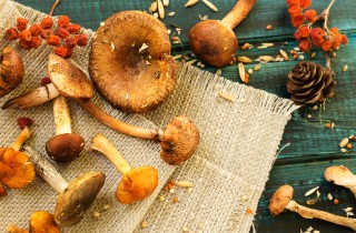 Insalatona con funghi e frutta secca