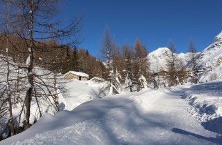 Capodanno: una settimana bianca nel comfort del Trentino