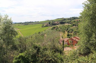 Formaggi e vini nella Toscana più verde