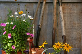 Attrezzi e strumenti del perfetto giardiniere