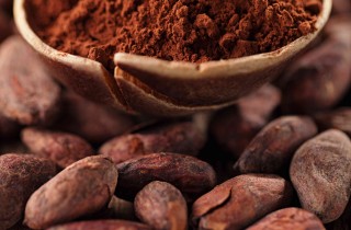 Cacao amaro: proprietà