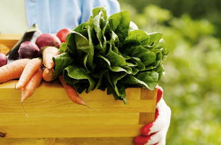 La frutta e verdura di stagione a giugno: sul terrazzo, nell’orto e al mercato