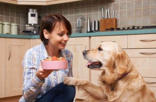 Alimentazione del cane: dallo svezzamento dei cuccioli all'età adulta