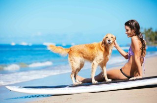 Si possono portare i cani in spiaggia e sulla battigia? Ecco cosa dice la legge!