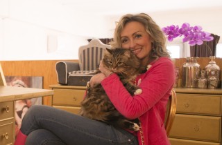 Ho creato un hotel 5 stelle per gatti: Cat Suite Home®