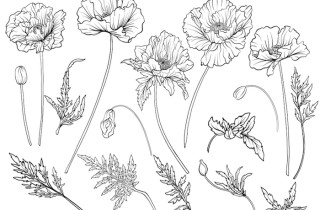 Come disegnare un fiore facilmente: 2 tutorial per fare pratica
