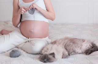 Toxoplasmosi in gravidanza, consigli per prevenirla