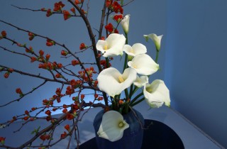 Ikebana, l’arte giapponese della composizione floreale