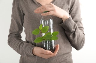Riciclo bottiglie di plastica pet: idee verdi e divertenti per far felici i bambini