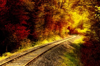 Treno foliage 2018: il percorso e le date per viaggiare nel paesaggio dell'autunno