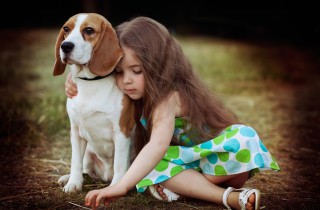 Cani taglia media: le razze più adatte ai bambini