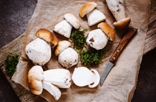 Come pulire i funghi porcini per le nostre ricette