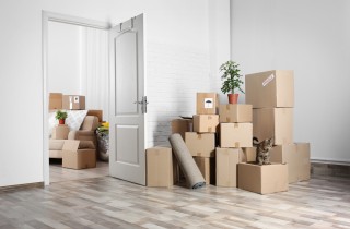 Come organizzare il trasloco della casa senza avere una crisi di nervi
