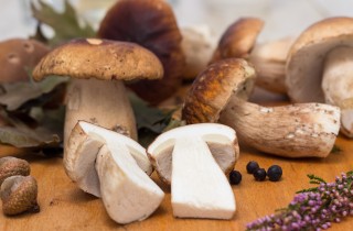 Pulire i funghi porcini freschi e secchi: come fare