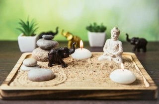 Come realizzare un giardino zen da tavolo