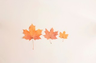 Lavoretti creativi autunno: un quadro con foglie ed effetto rilievo
