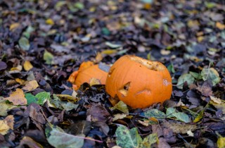 Come riciclare la zucca di Halloween: 7 idee per non buttarla