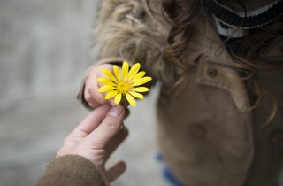 Giornata della gentilezza: 10 gesti cortesi per celebrare