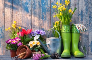 6 attrezzi da giardino che devi assolutamente avere