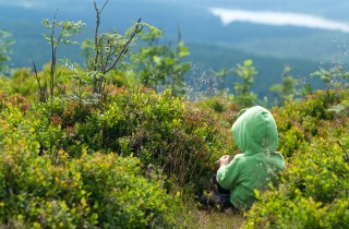 La montagna per bambini: i passatempi più divertenti a contatto con la natura