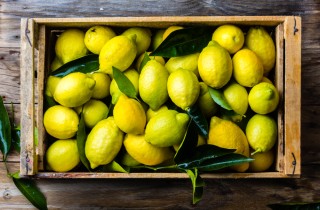 Come conservare i limoni nel modo giusto