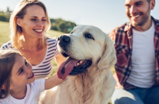 Razze di cani adatte alla famiglia: una piccola lista per scegliere bene