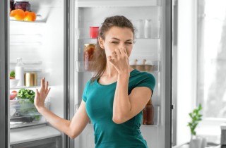 Deodorare il frigo in modo naturale per tenerlo pulito e profumato a lungo