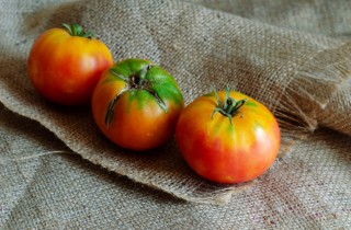 Come coltivare i pomodori nel sacco: 8 consigli utili