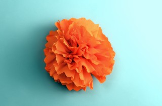 Decorazioni di primavera: idea creativa con i fiori di carta