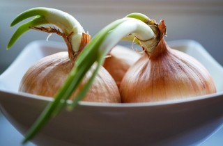 Come piantare cipolle in vaso da scarti o germogli: i passaggi facili