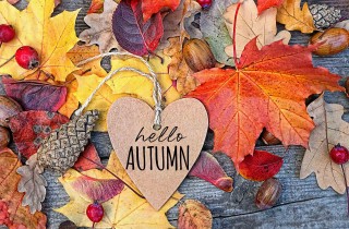 Equinozio d'autunno, le frasi per celebrare l'evento