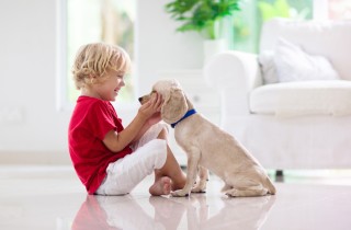 Come insegnare a tuo figlio ad accarezzare un cane
