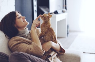 Come eliminare l’odore del gatto