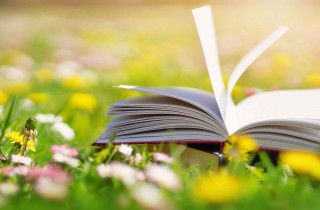 I libri sulla sostenibilità ambientale da leggere