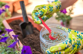 Come fertilizzare il giardino usando gli scarti di cibo