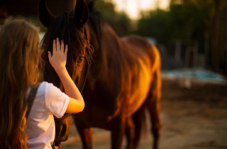Passeggiata a cavallo per bambini e ragazzi: età e regole