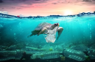 Come la plastica “avvelena” gli oceani e che cosa puoi fare
