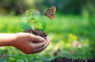 Come partecipare alla Giornata della biodiversità 2022 e costruire un futuro migliore