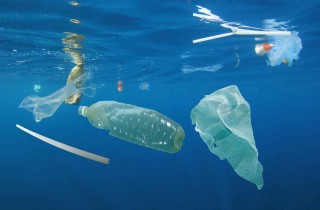 Giornata mondiale degli Oceani, la vergogna delle isole di plastica: cosa possiamo fare?
