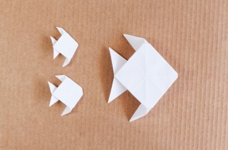 Origami facile: pesce tropicale in pochi passaggi