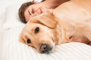 Dormi con il tuo animale domestico? È ora di smettere